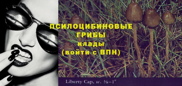каннабис Богданович
