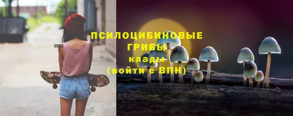 прущие крисы Богородицк