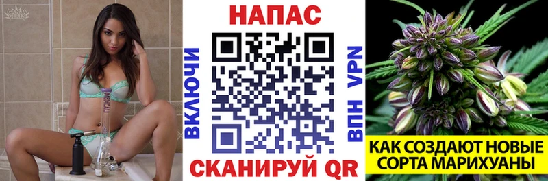 shop какой сайт Мариинский Посад Конопля марихуана